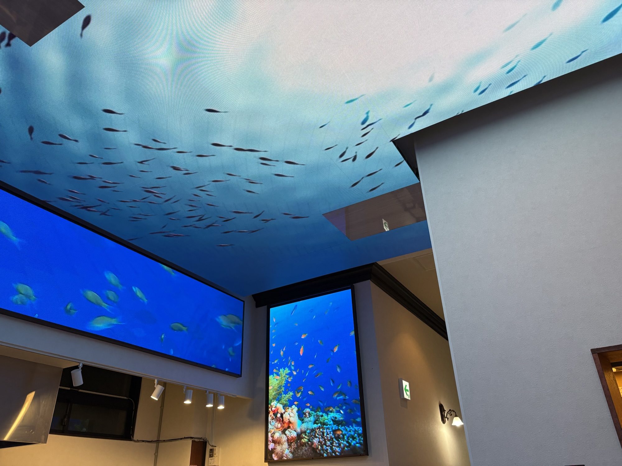BLUE OCEAN